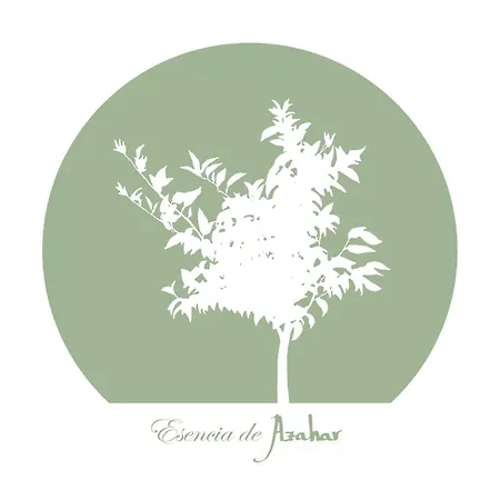 Affittacamere Esencia De Azahar Cordova