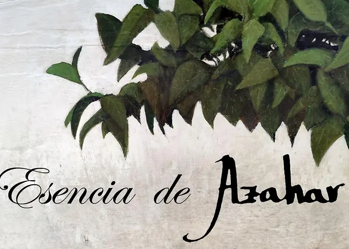 Esencia De Azahar Córdoba