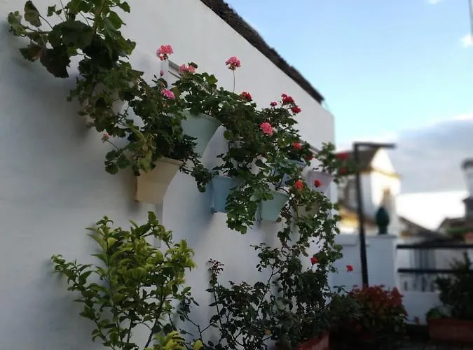 Esencia De Azahar * Córdoba