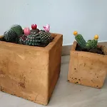 Konukevi Esencia De Azahar *