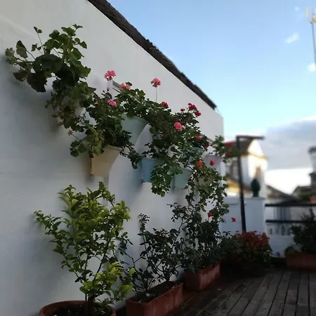 Esencia De Azahar * Cordoue