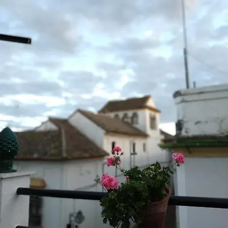 Pensionat Esencia De Azahar