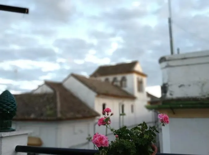 Penzion Esencia De Azahar