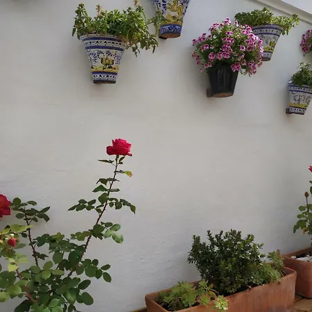 Hostal Esencia De Azahar * Кордова