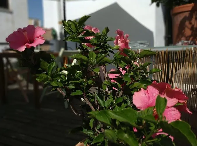 Hostal Esencia De Azahar Кордова