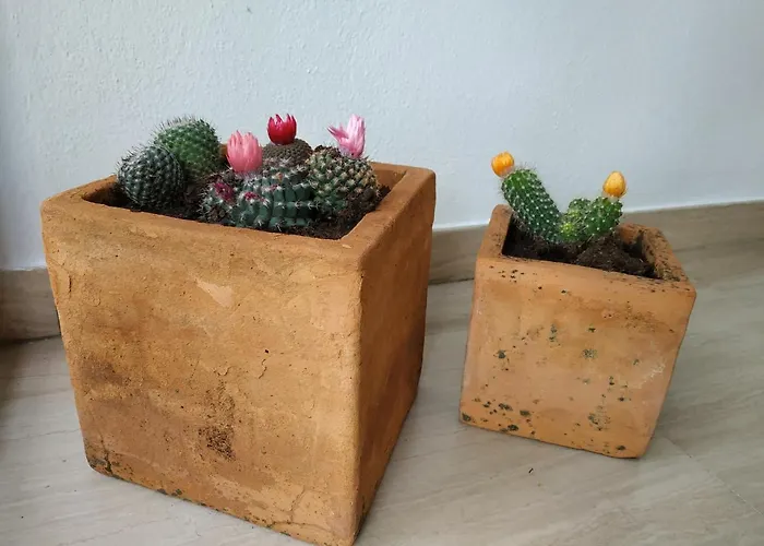 Гостевой дом Hostal Esencia De Azahar *