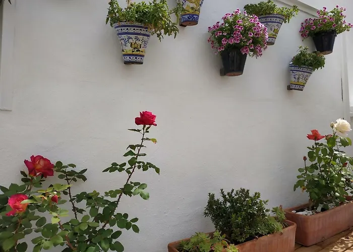 Hostal Esencia De Azahar * Кордова