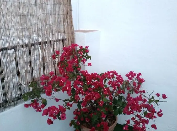 Hostal Esencia De Azahar Гостевой дом *