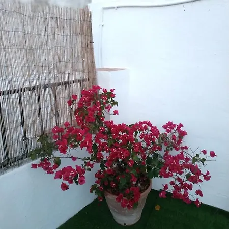 Esencia De Azahar بيت ضيافة *